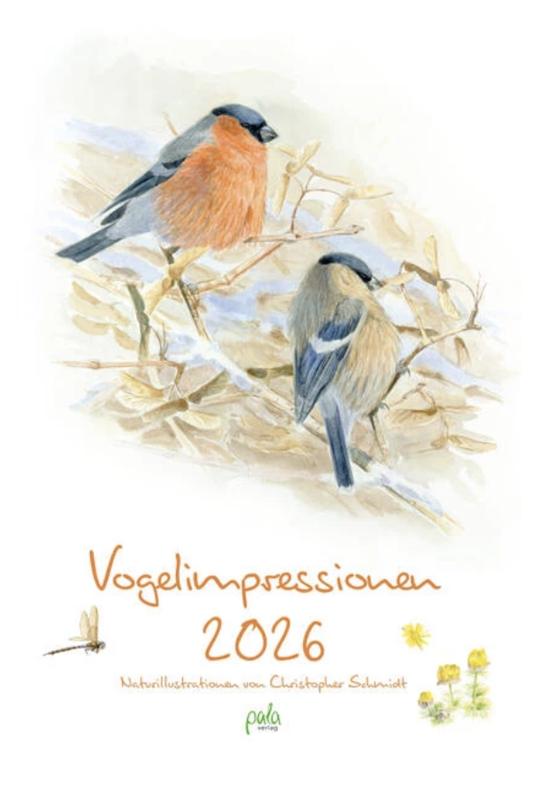 Vogelimpressionen 2026 (ab August 2025)