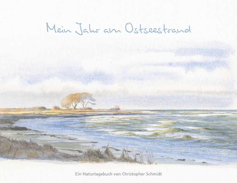 Mein Jahr am Ostseestrand