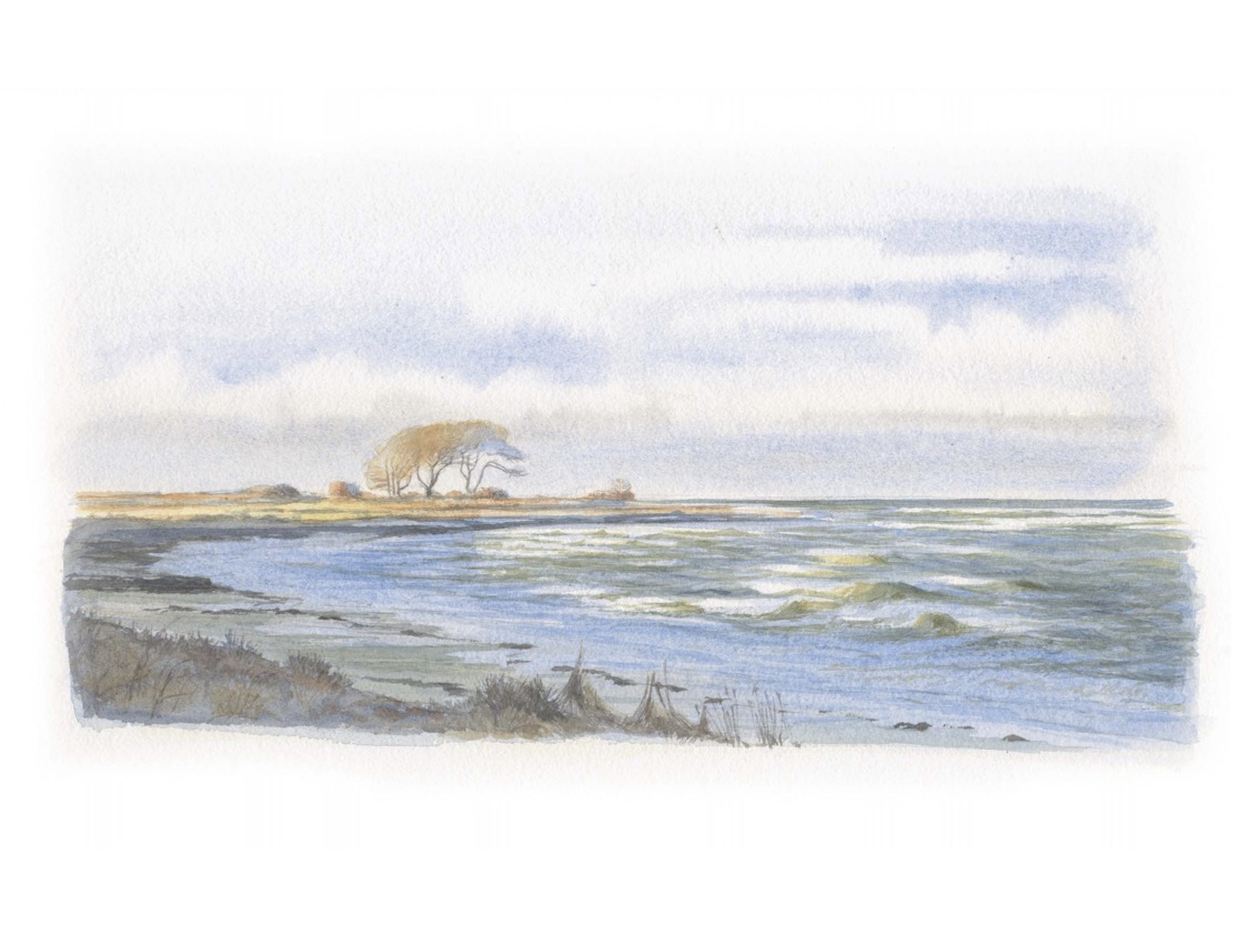 Ostseeküste im Sommer